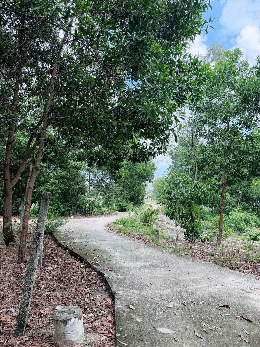 Bán đất Thăng An 800m² mặt tiền 5XX triệu - Ảnh thu nhỏ 3