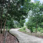 Bán đất Thăng An 800m² mặt tiền 5XX triệu - Ảnh thu nhỏ 3