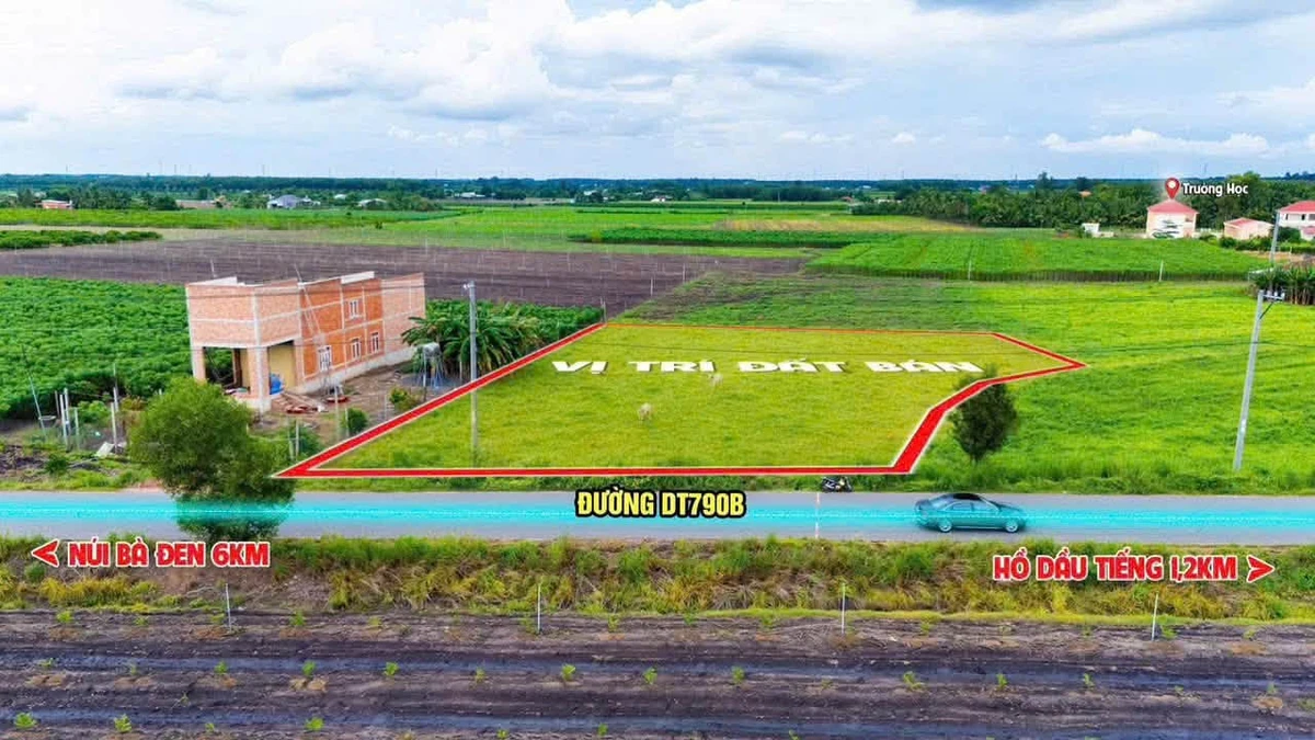 Bán đất mặt tiền DT790 Dương Minh Châu, Tây Ninh, giá từ 740 triệu, có sổ - Ảnh thu nhỏ 5
