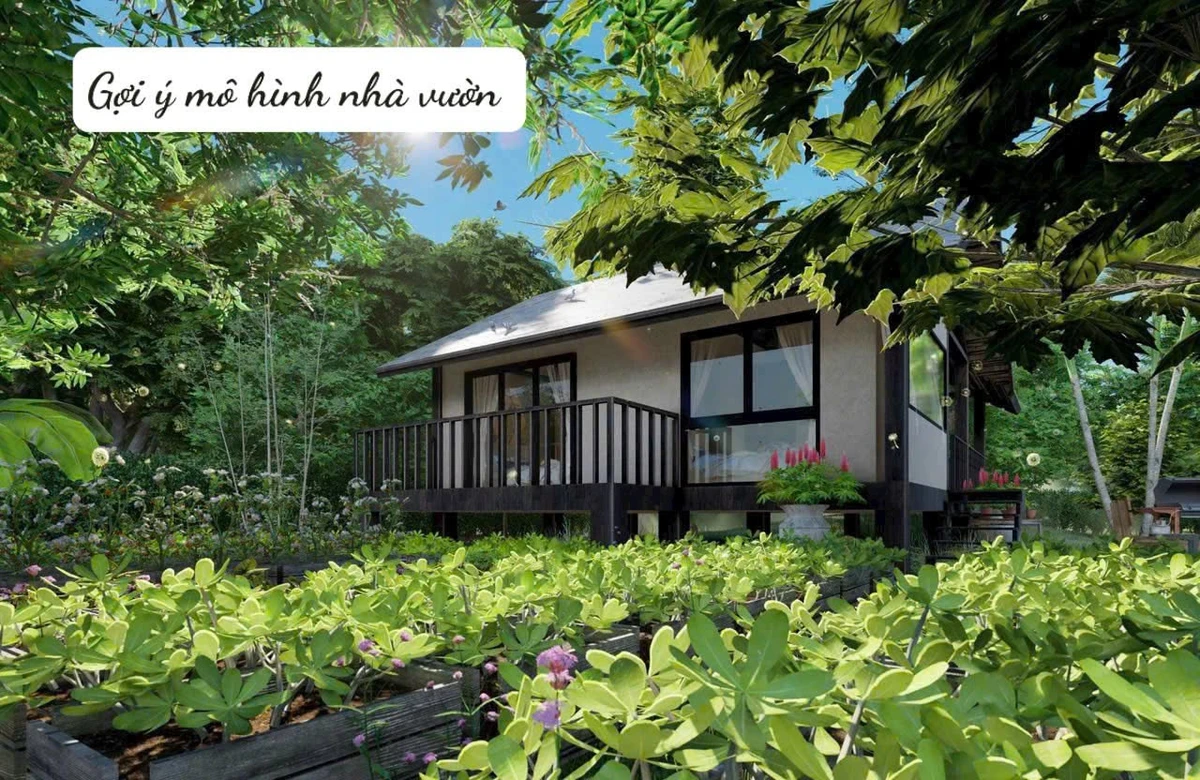 Bán 2.385 m² đất vườn xoài La Ngà, Đồng Nai 445tr/1.000m² - Ảnh thu nhỏ 5