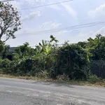 Cần bán 5000m2 đất cây lâu năm, có 200m2 thổ cư, mặt tiền Tỉnh lộ 944 - Ảnh thu nhỏ 1