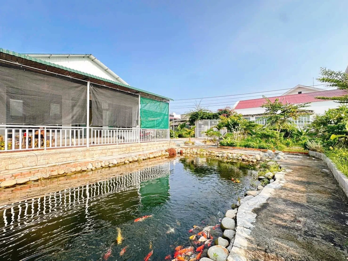 Bán nhà vườn 445m² 2 mặt tiền Bình Thuận - Ảnh 1