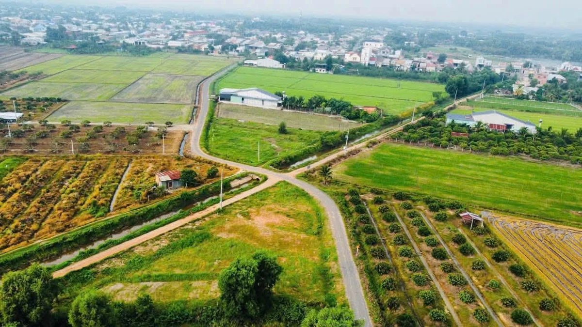 Bán đất nền 120m² Ấp Thuận Bình Trung Tây Ninh 250 triệu - Ảnh thu nhỏ 3