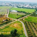Bán đất nền 120m² Ấp Thuận Bình Trung Tây Ninh 250 triệu - Ảnh thu nhỏ 3
