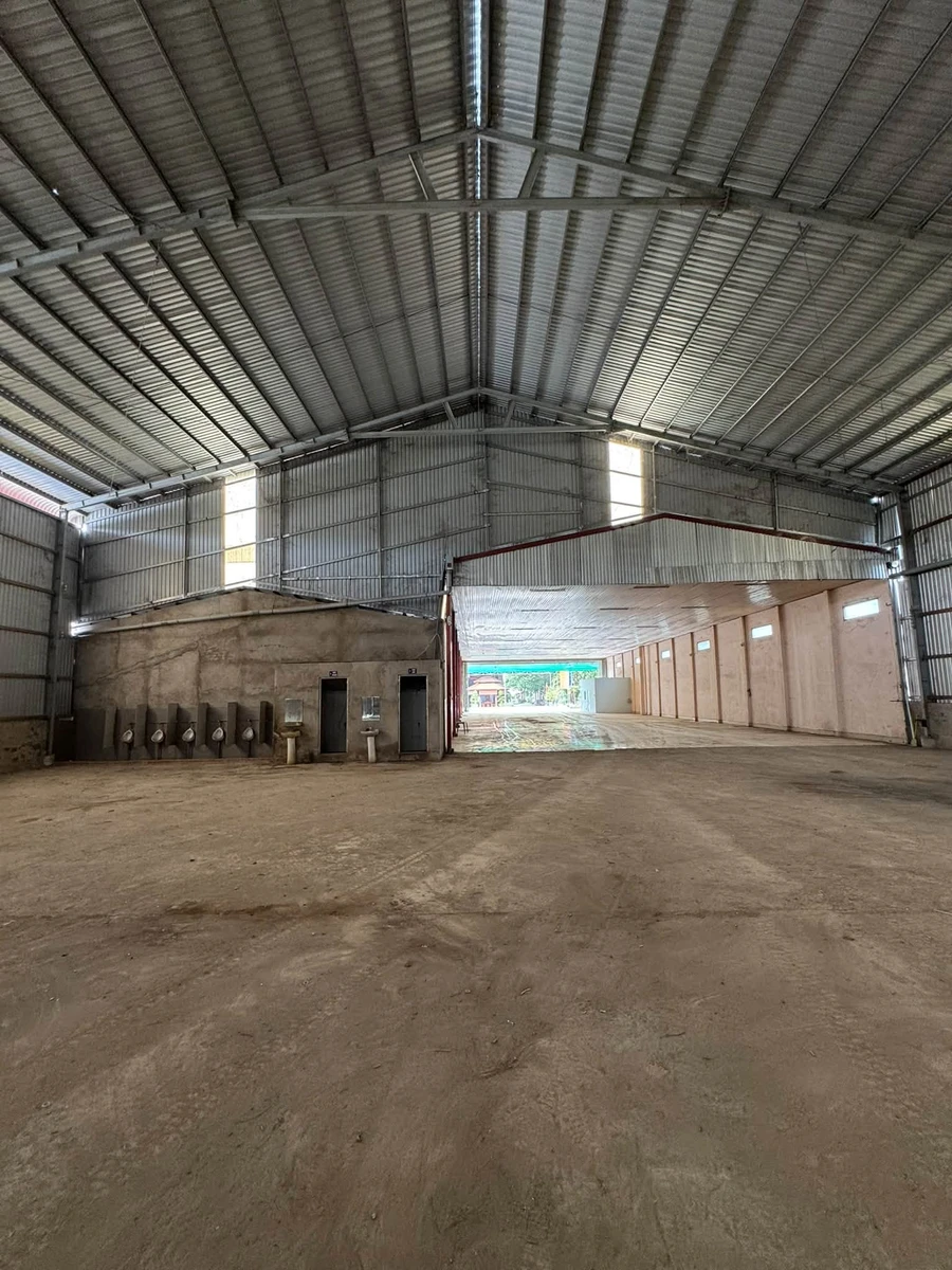 Cho thuê mặt bằng công xưởng 5000m² Bến Tre - Ảnh thu nhỏ 3