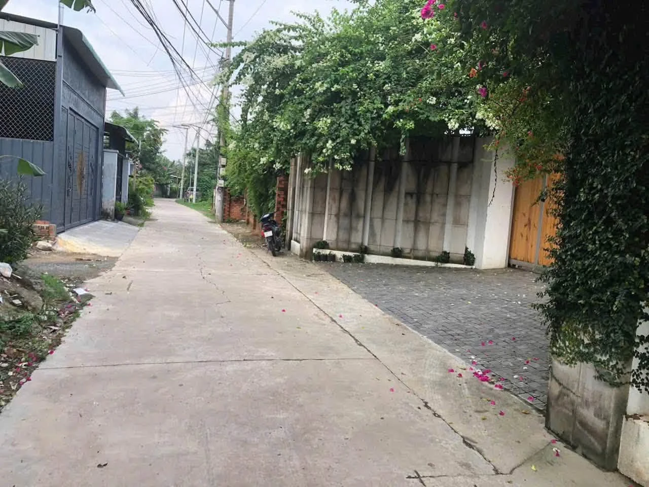 Bán nhà cấp 4 hai mặt tiền 120m2 Cù Lao Phố, phường Hiệp Hòa, Biên Hòa, Đồng Nai - Ảnh 1