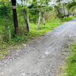 Bán đất 239 m2 gần cầu Rạch Miễu, Bình Dương - Ảnh thu nhỏ 2