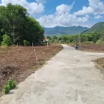 Bán lô đất thổ cư 109m2 Diên Tân, Diên Khánh - Ảnh thu nhỏ 4