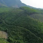 Bán 7,5 ha đất rừng sản xuất view sông, bám suối tại Đại Lộc, cách Đà Nẵng 50km - Ảnh thu nhỏ 4