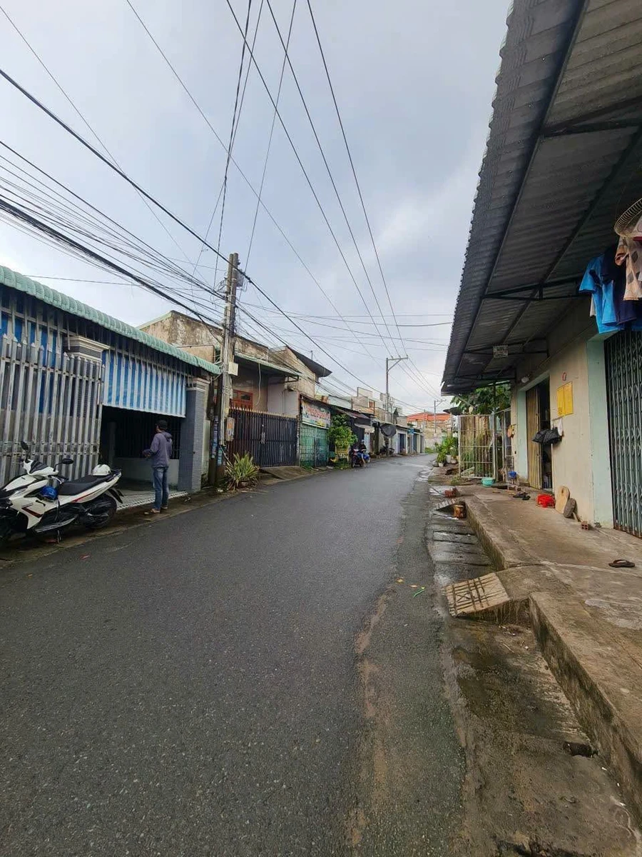 Bán nhà vườn 446m² Tân Triều, Đồng Nai - Ảnh thu nhỏ 2