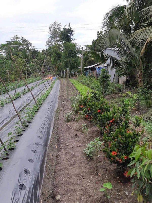 Bán đất 200m² gần Trường Tiểu Học Phú Thuận, Xã Phú Hòa