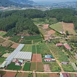 Bán đất nền nghỉ dưỡng 485 m² Nam Ban, Lâm Hà từ 975 triệu - Ảnh thu nhỏ 3