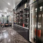 Bán biệt thự mặt phố 115m² Thiên Lôi Hải Phòng 22 tỷ - Ảnh thu nhỏ 4