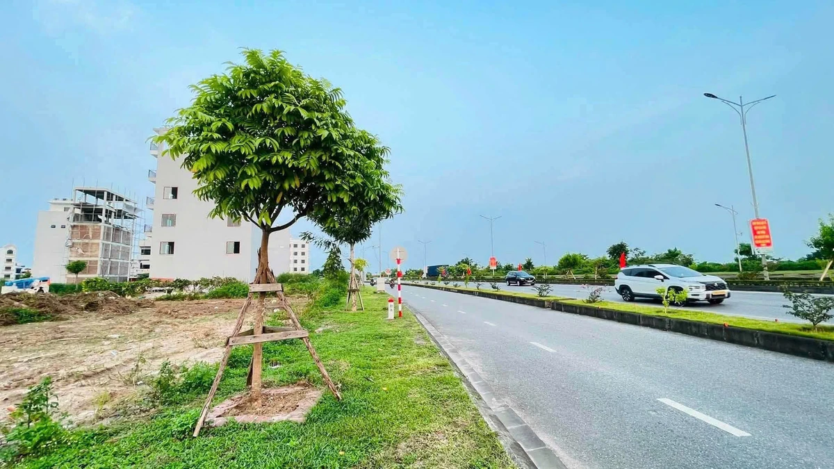 Bán lô đất 63m2 mặt đường Bùi Viện, Hải An - Ảnh thu nhỏ 3