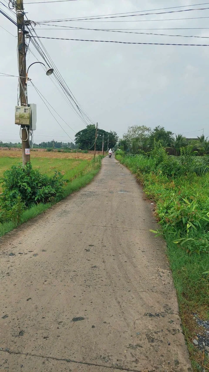 Bán lô đất thổ cư 133 m2 Mỷ An, Thủ Thừa, Long An - Ảnh thu nhỏ 2