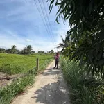 Bán đất vườn 544m2 tại Khánh Hậu, Tây Ninh - 680 triệu - Ảnh thu nhỏ 4