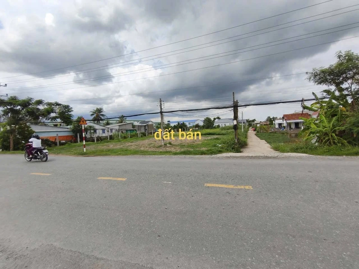 Bán đất mặt tiền 2200m² Mỹ Lệ, Cần Đước, Long An - Ảnh thu nhỏ 2