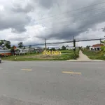 Bán đất mặt tiền 2200m² Mỹ Lệ, Cần Đước, Long An - Ảnh thu nhỏ 2
