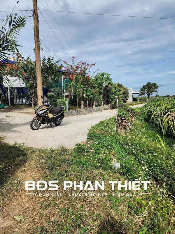Bán đất vườn Hàm Liêm 976m² đường bê tông 5m
