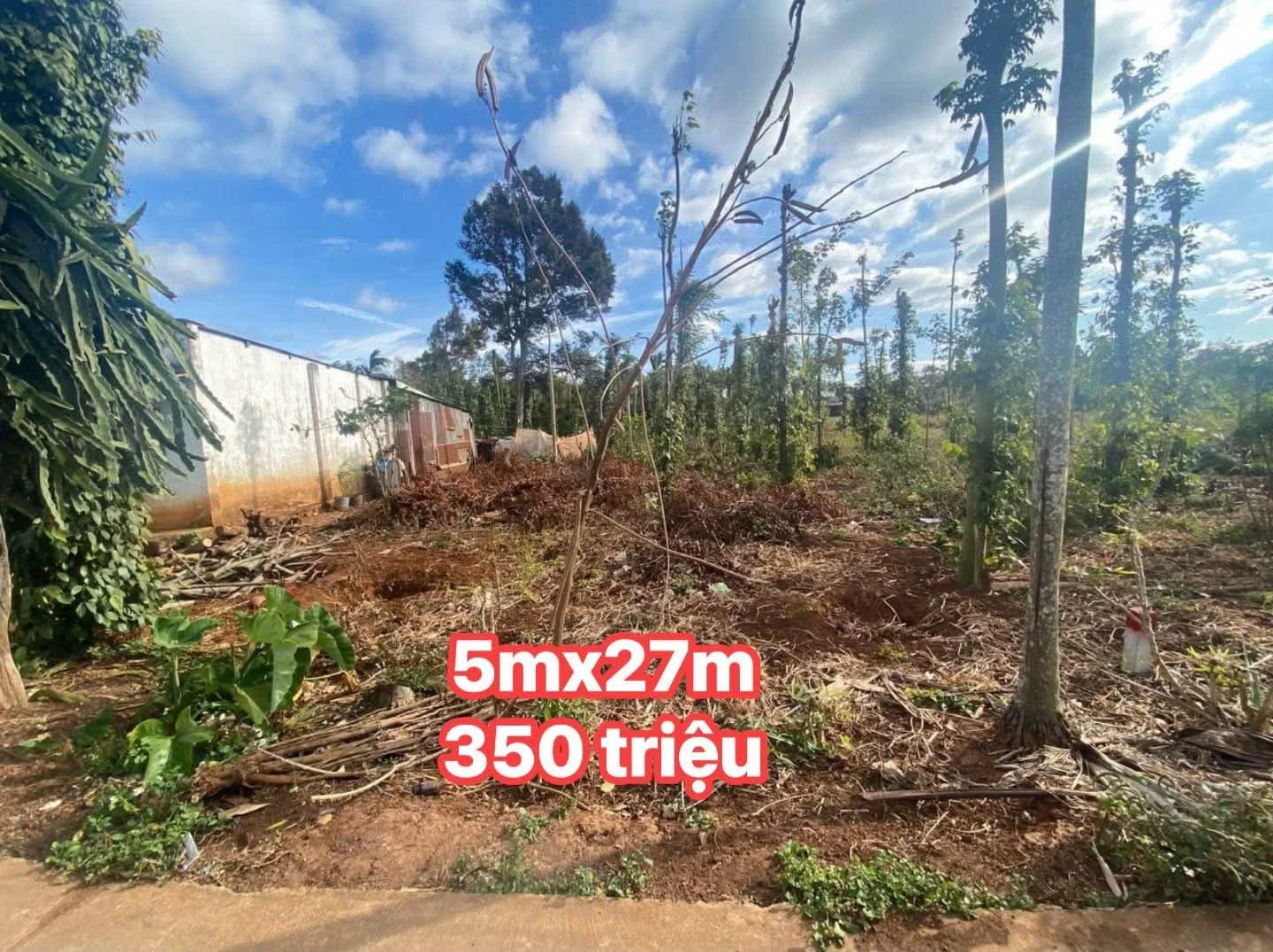 Bán lô đất 135m² khu bàn cờ Eatieu Hóc Môn - Ảnh 1