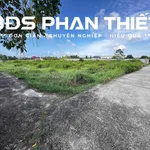 Bán đất Phú Xuân 996m² sổ sẵn 1 tỷ 600 triệu - Ảnh thu nhỏ 5
