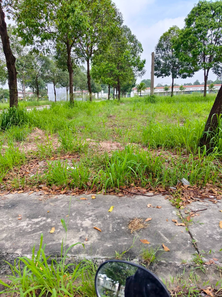 Bán đất 75m² ngay TTHC Bàu Bàng, giá 1 tỷ trở lên - Ảnh 1