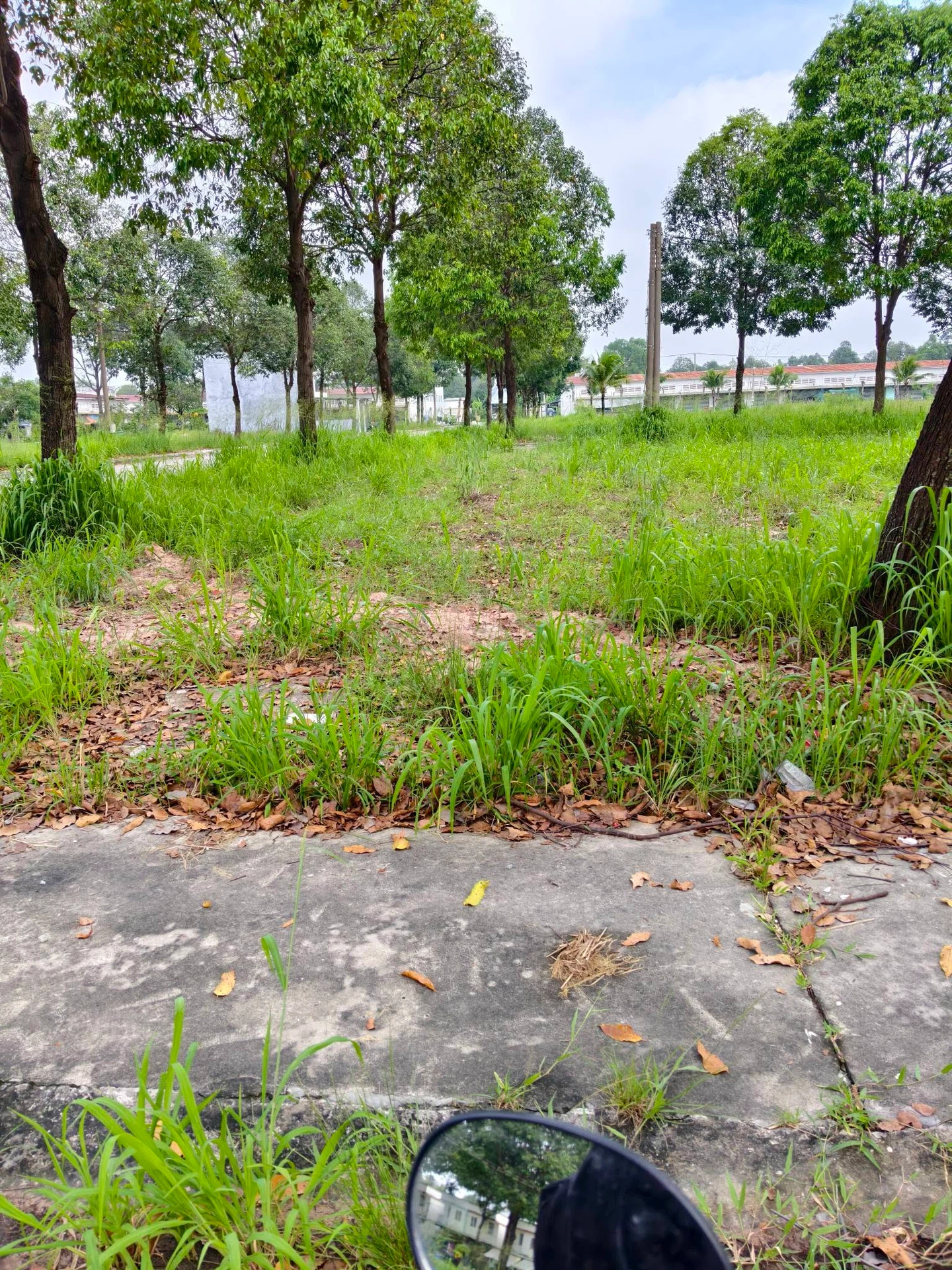 Bán đất 75m² ngay TTHC Bàu Bàng, giá 1 tỷ trở lên - Ảnh 1