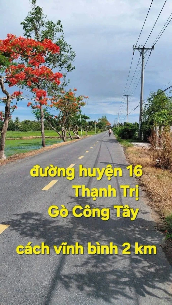 Bán nhà mặt tiền 260m² Gò Công Tây, Tiền Giang - Ảnh thu nhỏ 2