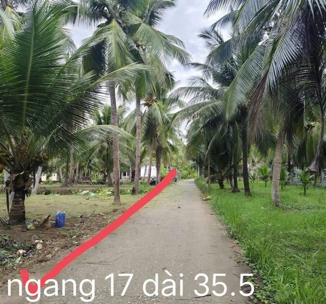 Bán đất Bình Khánh 605m² giá 590 triệu - Ảnh 1