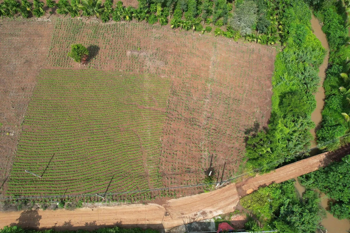 Bán đất nông thôn 1000m² view suối, Ea Tiêu, Đắk Lắk - Ảnh thu nhỏ 3