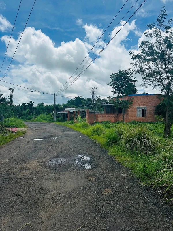 Bán lô đất 220 m² Buôn Đôn, Đắk Nông, 26 triệu/m²