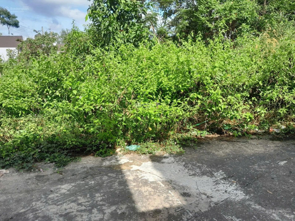 Chính chủ cần bán lô đất đẹp 108m² tại Ấp Cây Thông Trong, Xã Cửa Dương, TP Phú Quốc, Kiên Giang - Ảnh thu nhỏ 4