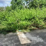 Chính chủ cần bán lô đất đẹp 108m² tại Ấp Cây Thông Trong, Xã Cửa Dương, TP Phú Quốc, Kiên Giang - Ảnh thu nhỏ 4