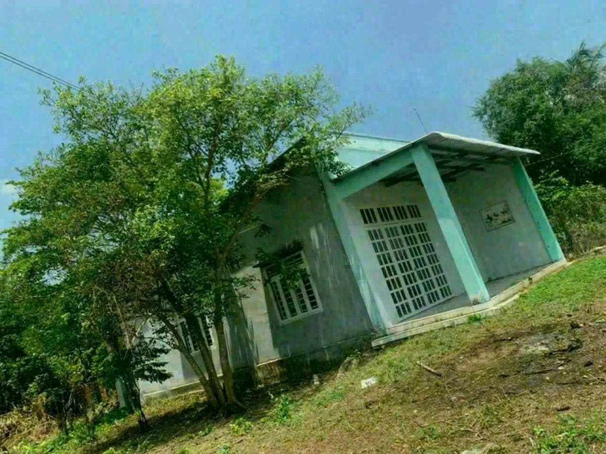 Bán đất Trương Mít Hóc Môn 381m², 2 tỷ - Ảnh 1