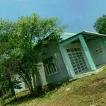 Bán đất Trương Mít Hóc Môn 381m², 2 tỷ - Ảnh thu nhỏ 1