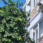 Bán nhà 4 tầng 52m² Nguyễn Thị Định Quận 2 - Ảnh thu nhỏ 1