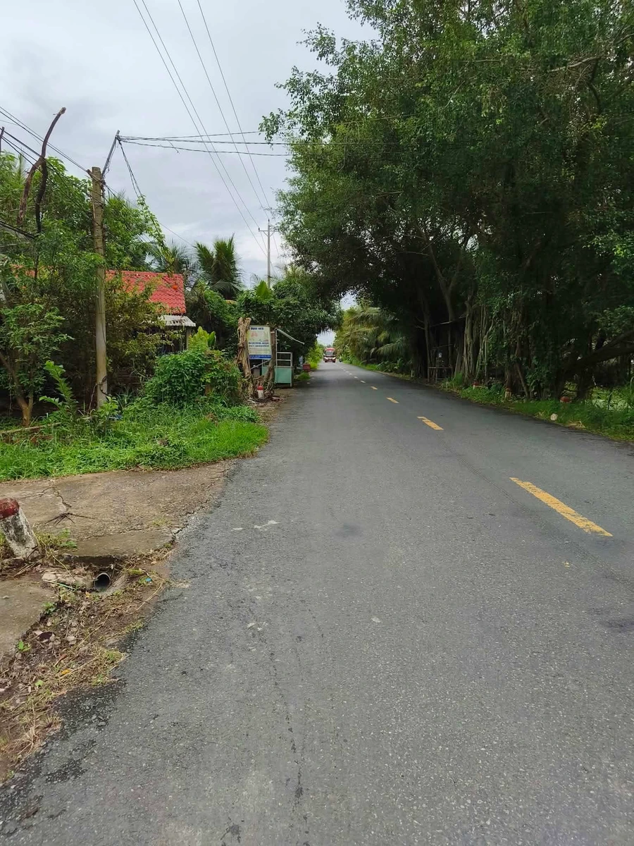 Bán vườn dừa 1,6ha Giồng Trôm Bạc Liêu 360tr/công - Ảnh thu nhỏ 3