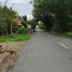 Bán vườn dừa 1,6ha Giồng Trôm Bạc Liêu 360tr/công - Ảnh thu nhỏ 3