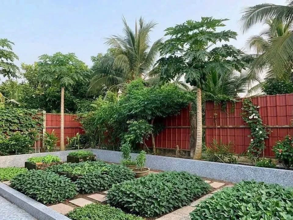 Cho thuê nhà mặt tiền đường 173, 600m2, 2 căn nhà, giá 8 triệu/tháng, Sơn Đông, Bến Tre - Ảnh thu nhỏ 4
