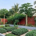 Cho thuê nhà mặt tiền đường 173, 600m2, 2 căn nhà, giá 8 triệu/tháng, Sơn Đông, Bến Tre - Ảnh thu nhỏ 4