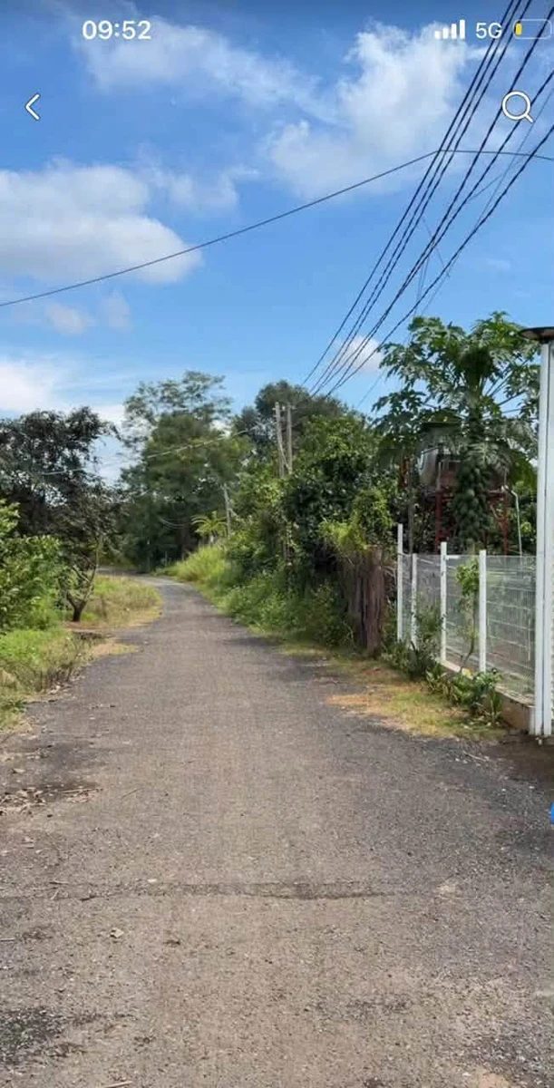 Bán lô đất Suối Cam 550m2, 450 triệu, Bình Phước - Ảnh 1