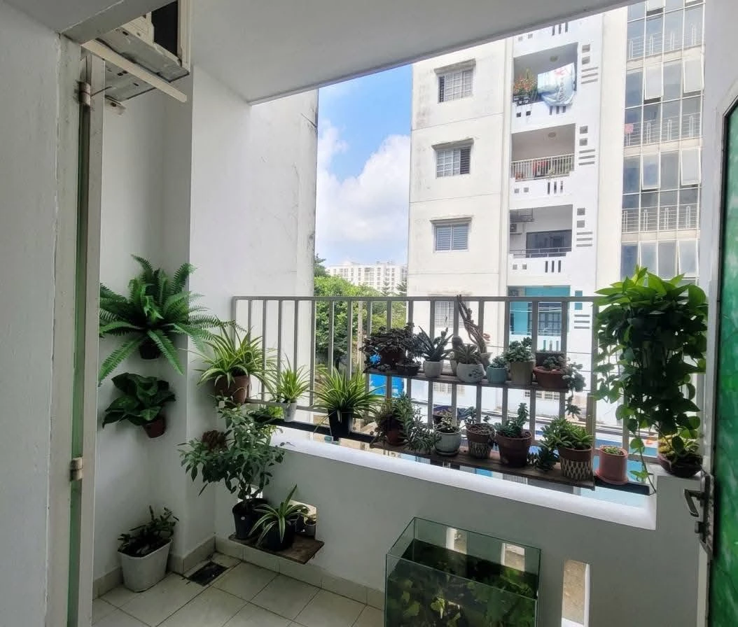 Bán căn hộ D2 Phú Lợi 76m² 2PN Quận 8 - Ảnh 1