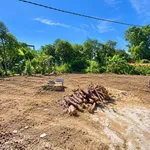 Bán đất Tân Hạnh 160m², sổ riêng 1,7 tỷ - Ảnh thu nhỏ 5