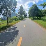 Bán đất mặt tiền 5700 m² xã Thanh Phú Bến Lức - Ảnh thu nhỏ 1