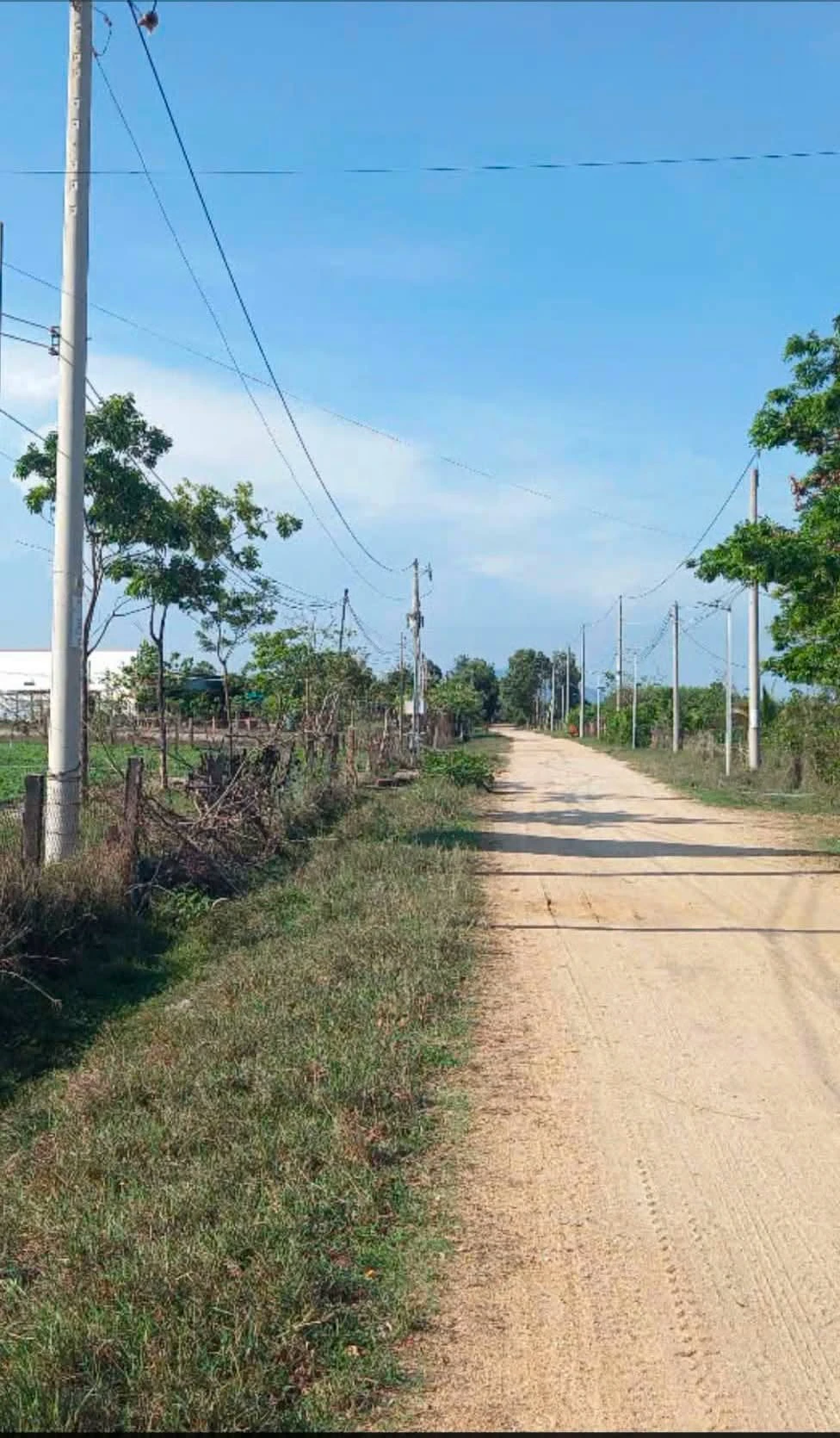 Bán đất mặt tiền Lagi, Lâm Đồng 1000m2, 2 tỷ - Ảnh 1