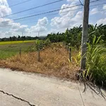 Bán đất 5x26,5m Nguyễn Thị Tầm Tân Trụ 479 triệu - Ảnh thu nhỏ 1