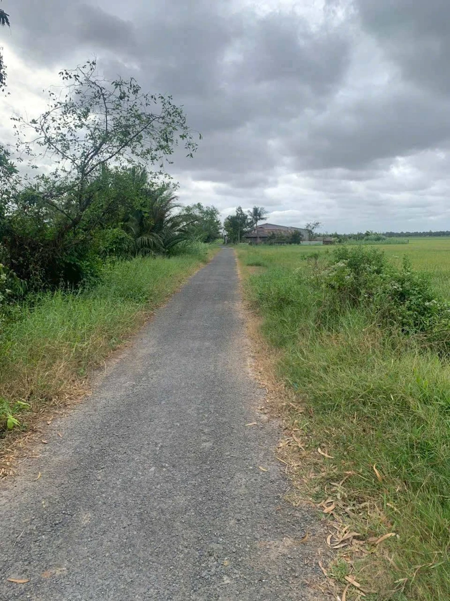 Bán đất Nhà Bè 3267m2, đường nhựa 99m, 25 triệu/m2 - Ảnh thu nhỏ 2
