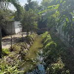 Bán nhà vườn 393m² thổ cư tại Mỹ Lộc, Cần Giuộc, Long An giá 1,5 tỷ - Ảnh thu nhỏ 5