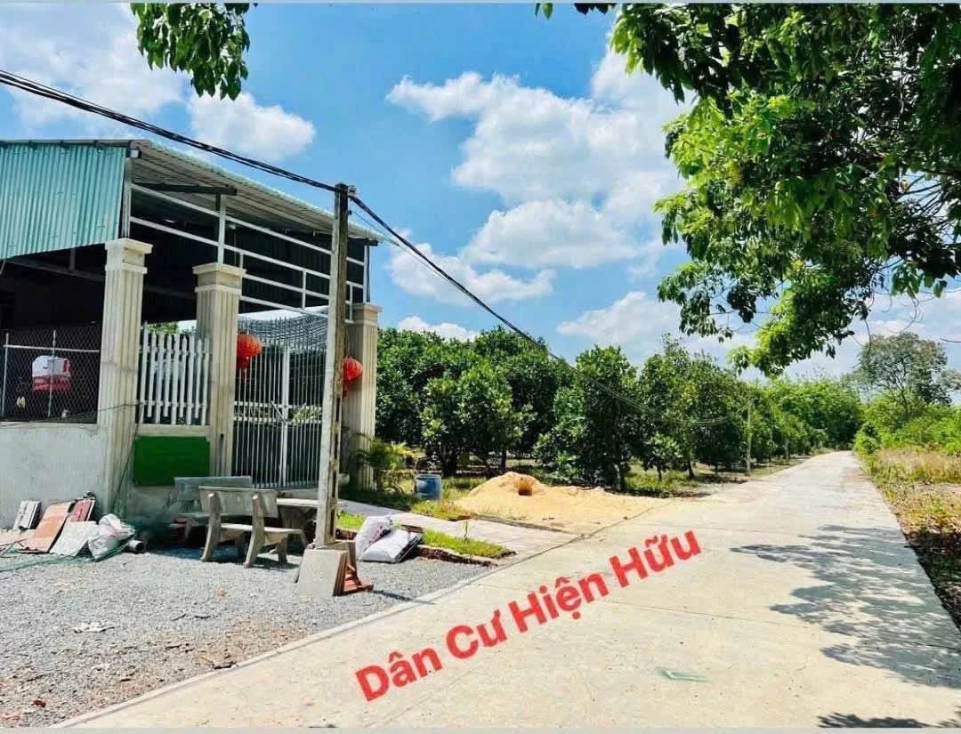 Bán đất vườn mít 574m2 Chơn Thành Bình Phước 9 tỷ - Ảnh 1