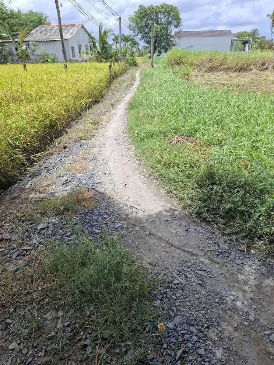 Bán đất full thổ 1957m² Tân Trụ Long An 2 tỷ 800 - Ảnh thu nhỏ 2